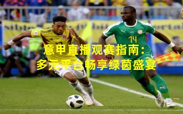 意甲直播观赛指南：多元平台畅享绿茵盛宴